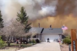 Лесной пожар в Аризоне вынудил более 2000 жителей покинуть дома