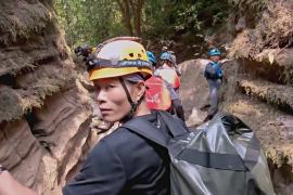 Как незаконный дровосек стал защитником леса