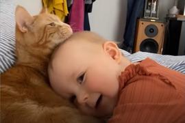 Кот и малышка – неразлучные друзья. Весёлое видео