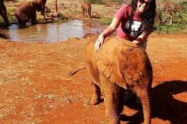 Слонёнок и страус устраивают обнимашки