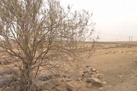 Остановить пустыню: как Иордания возрождает потерянную землю