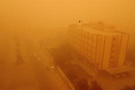 Ирак накрыла пыльная буря, людей госпитализируют