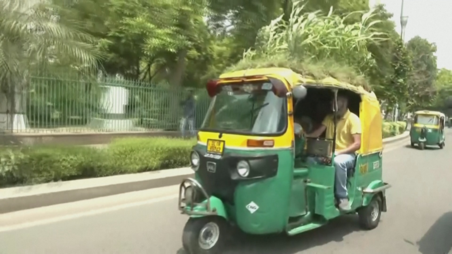 Сервис по-индийски: водитель разбил клумбу на крыше моторикши