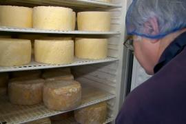 Обошла Францию: в Великобритании делают 1600 сортов сыра