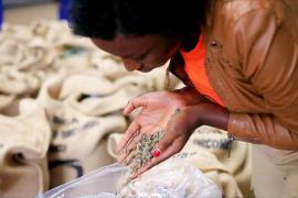 Кофе на мыло: бедные женщины Конго строят бизнес