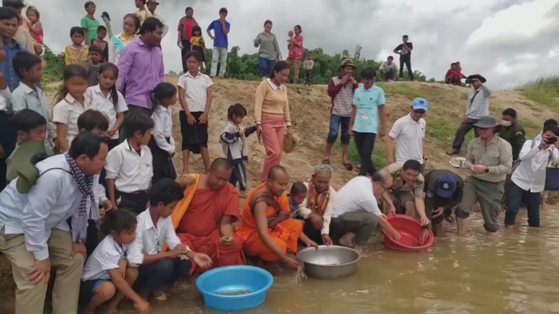 Более 500 редких черепашек выпустили на волю в Камбоджи