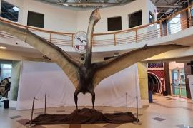 «Драконом смерти» назвали новый вид птерозавров аргентинские учёные
