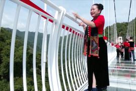 Рекорд Гиннесса: самый длинный в мире стеклянный мост открыли во Вьетнаме