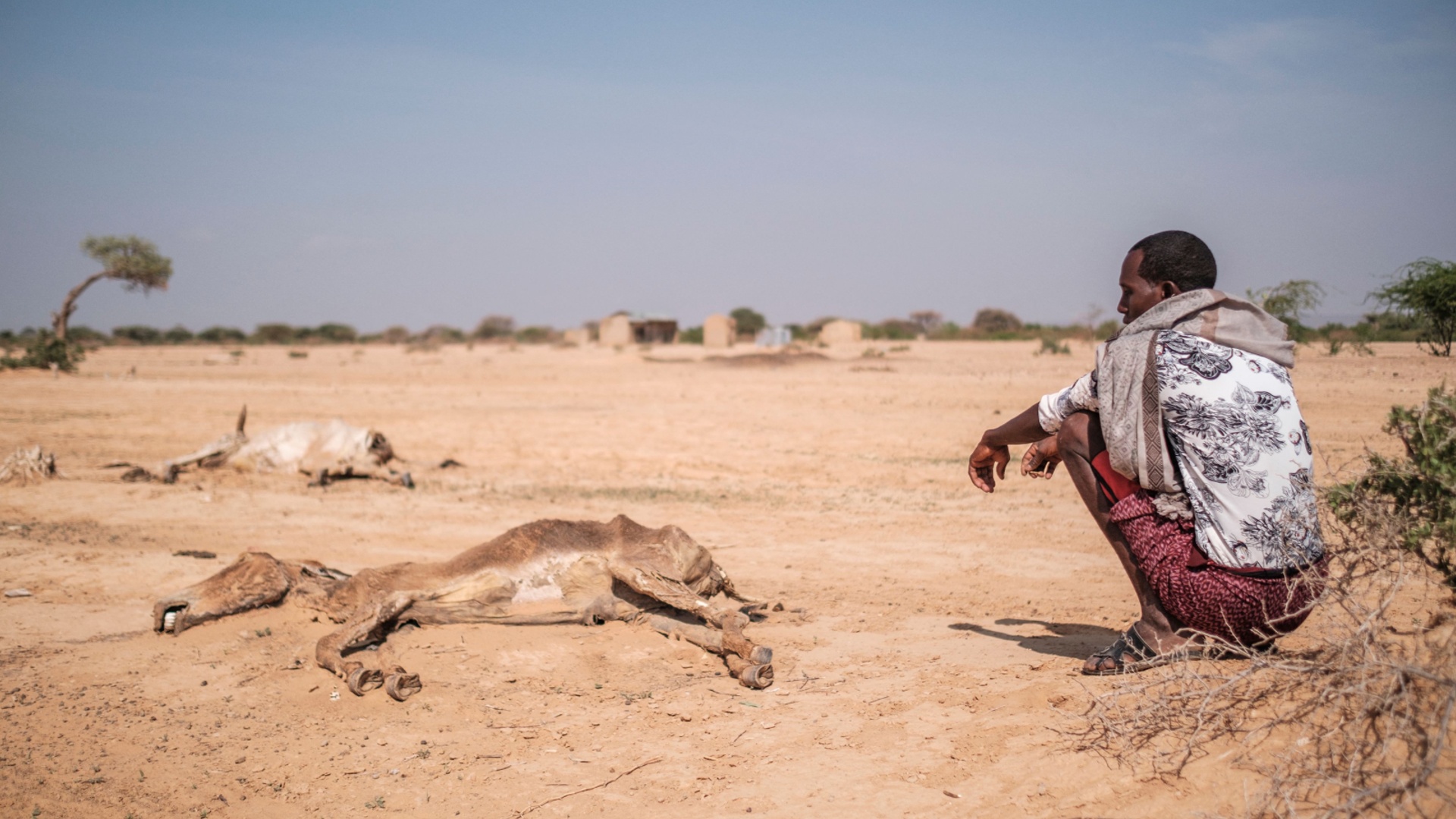ООН: засуха в Восточной Африке будет усиливаться