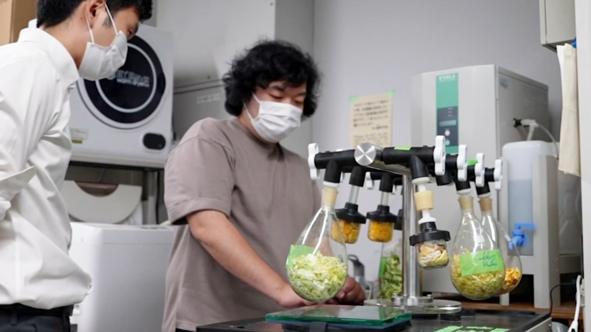 В Японии сделали прочный бетон из пищевых отходов
