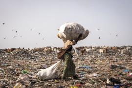 Сенегальцы перебирают горы мусора и зарабатывают на жизнь