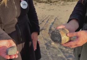 Две чилийки случайно нашли редкие останки древней морской рептилии
