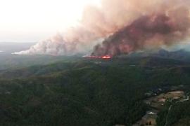 В Турции полыхает лесной пожар