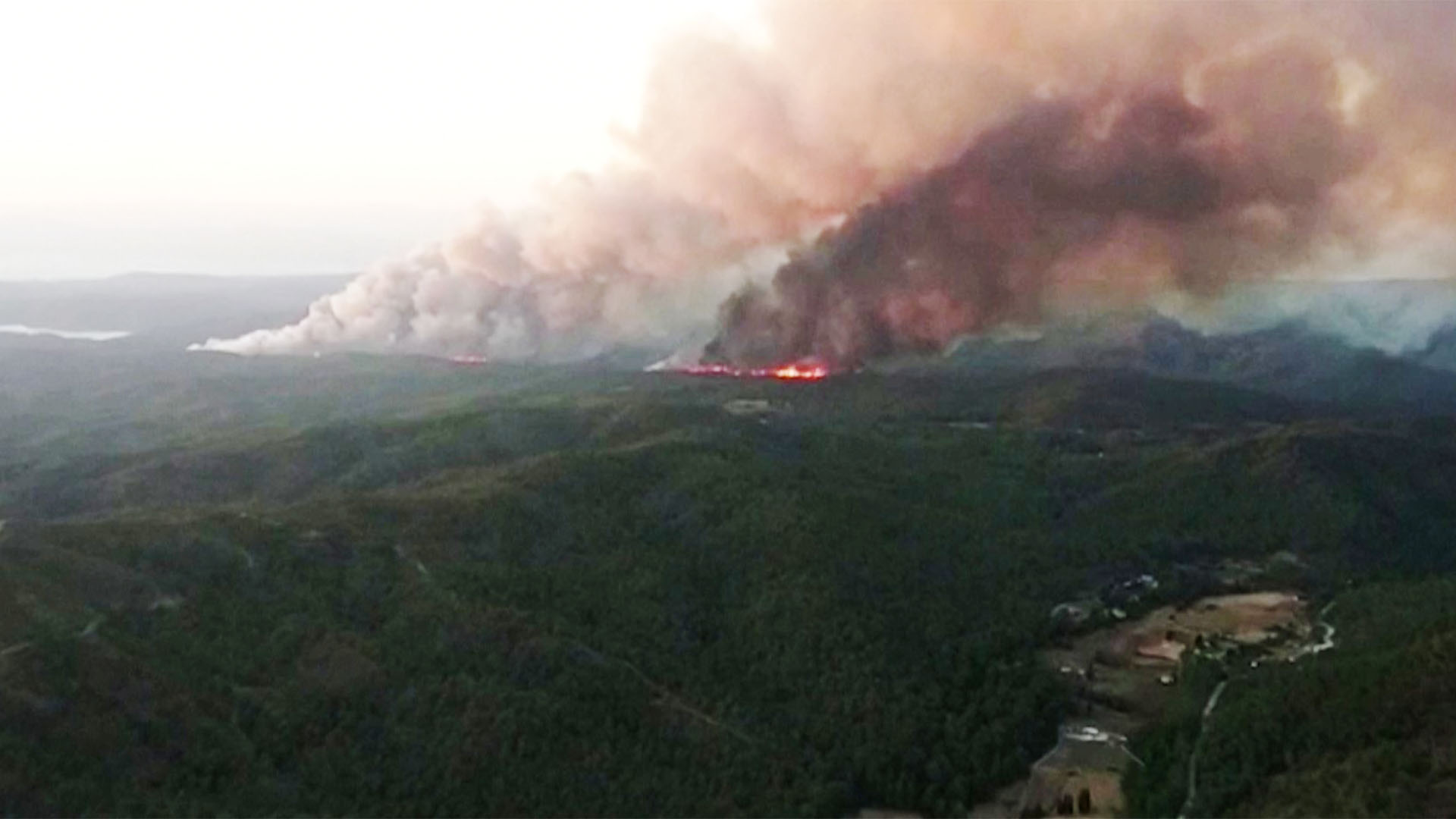 В Турции полыхает лесной пожар