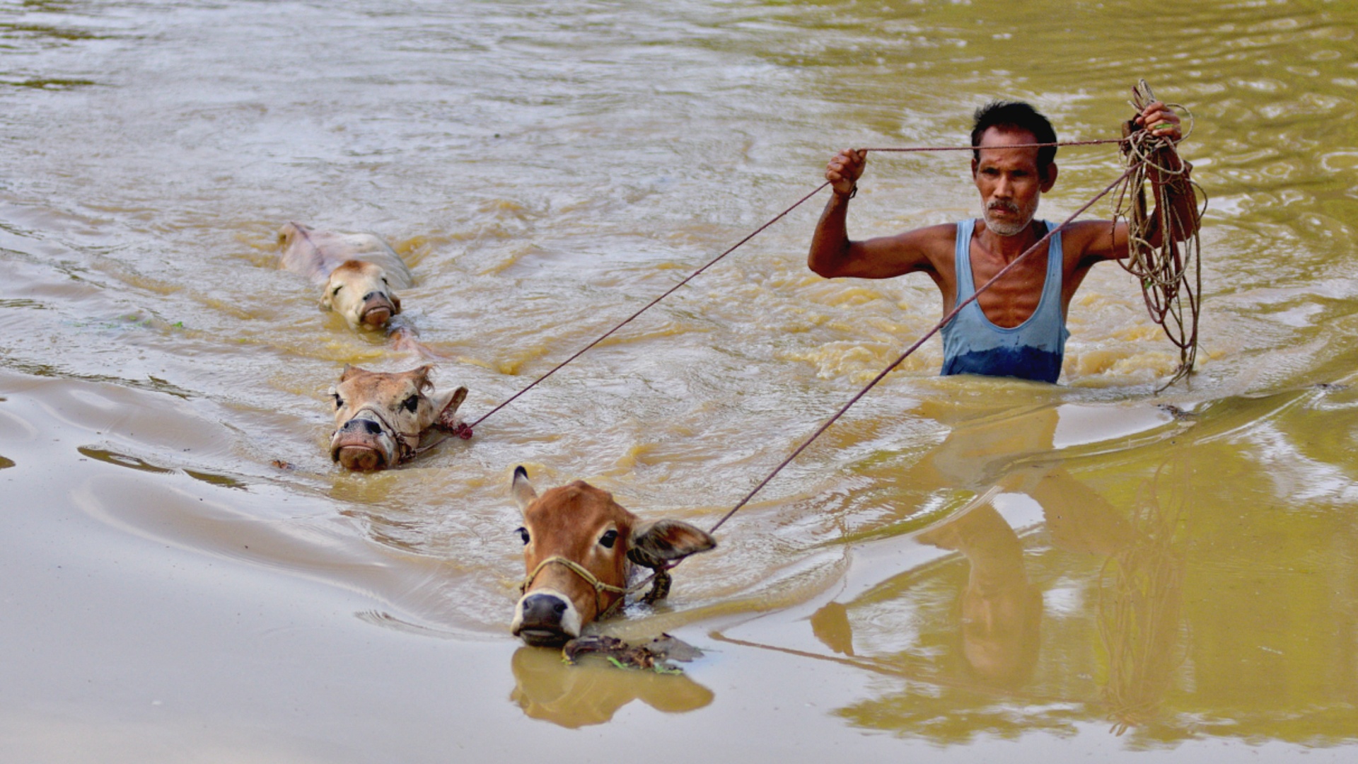 Из-за наводнения в Индии распространяется инфекция