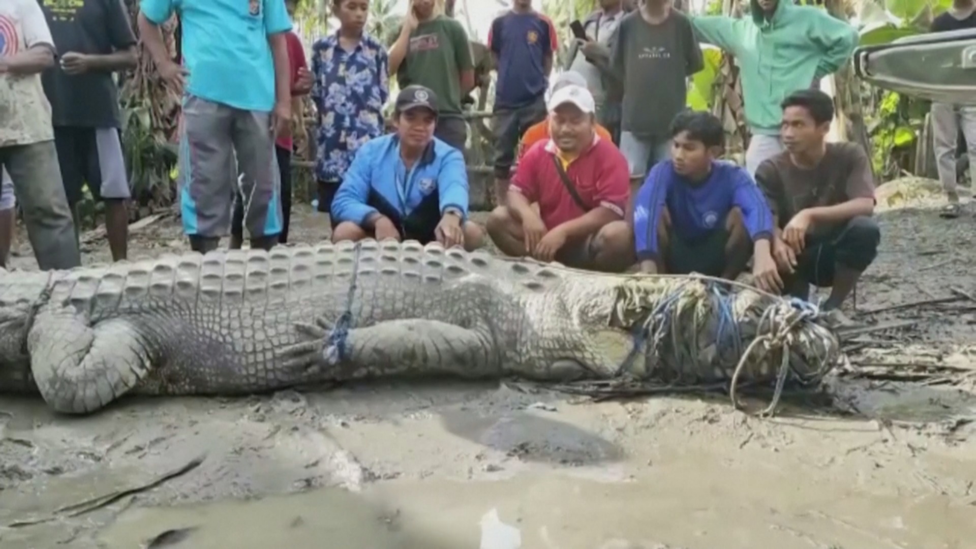 Индонезиец поймал огромного крокодила с помощью верёвки