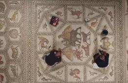 Древняя лодская мозаика вернулась в Израиль после мирового турне