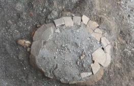 Древние останки беременной черепахи нашли под полом здания в Помпеях