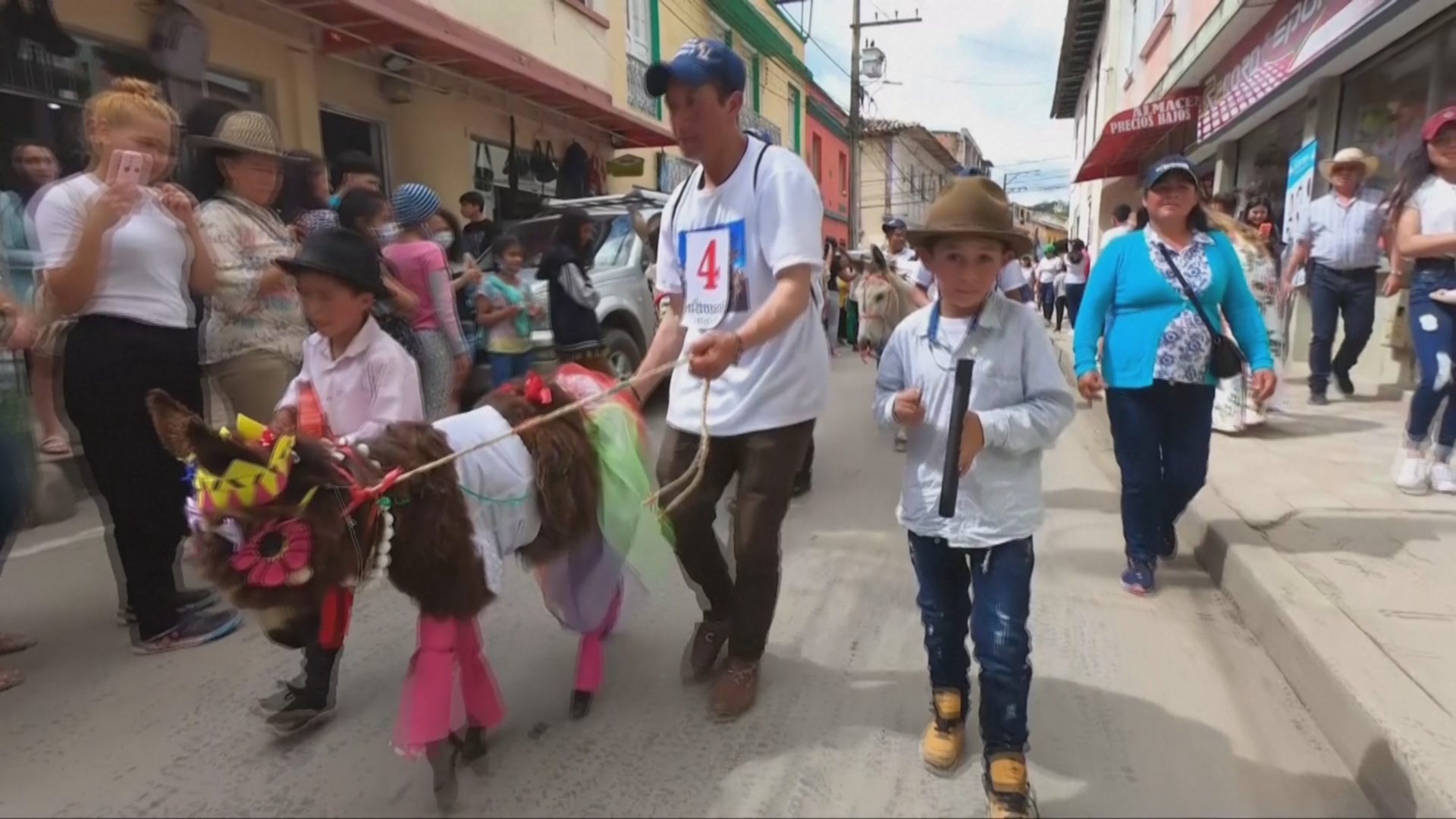 Разряженные ослы прошлись по улицам колумбийского городка