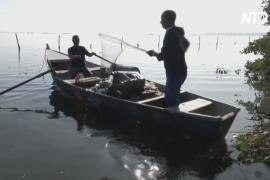 Бразильские рыбаки вынуждены ловить мусор, а не рыбу