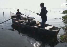 Бразильские рыбаки вынуждены ловить мусор, а не рыбу