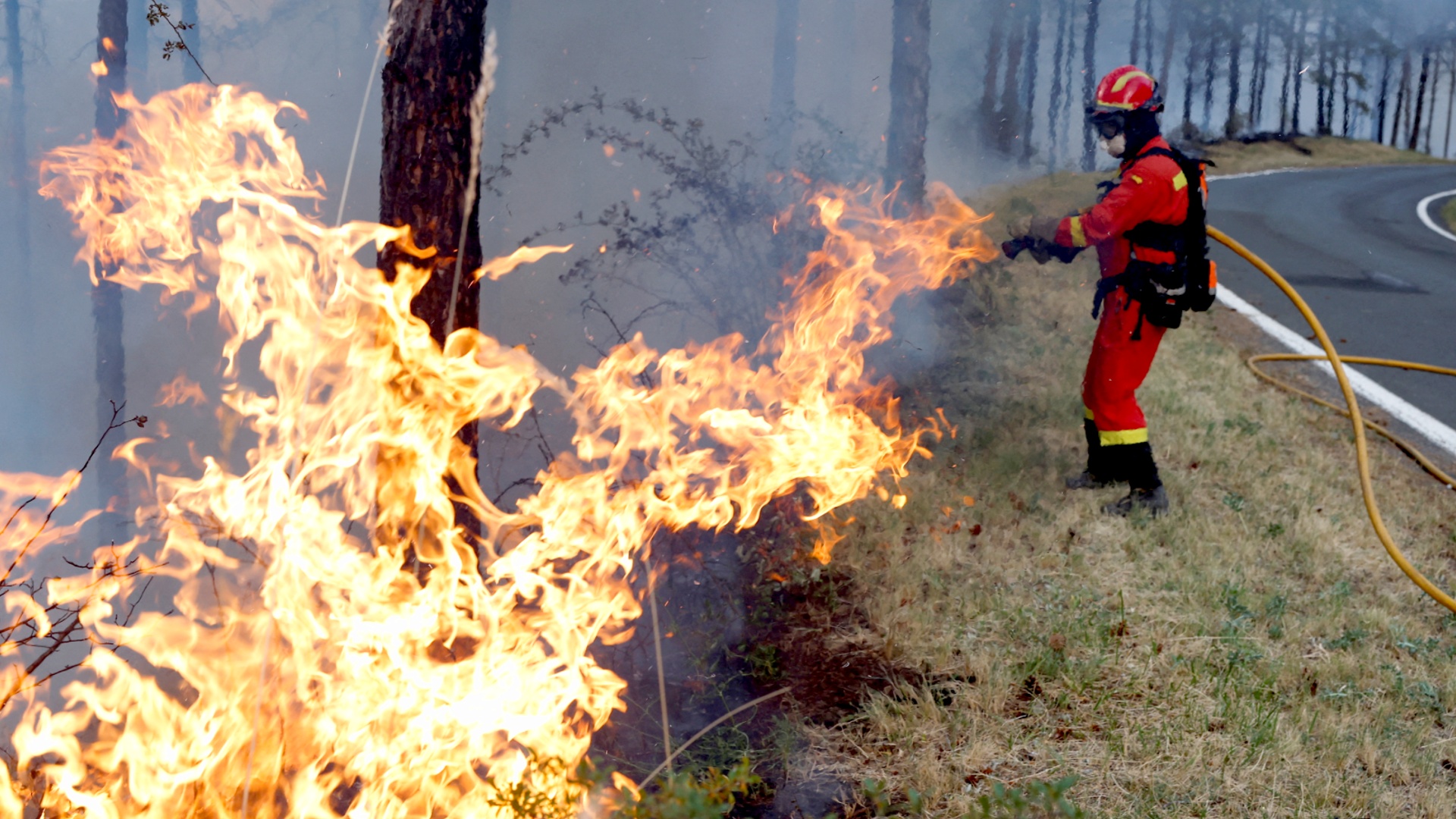 В Валенсии пытаются потушить лесной пожар