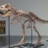 Скелет хищного горгозавра выставят на аукцион в Нью-Йорке