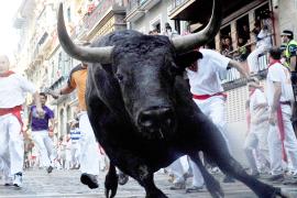 Бег от разъярённых быков: как проходит фиеста Сан-Фермин в Испании