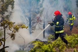 Юг Европы охватили пожары из-за экстремальной жары