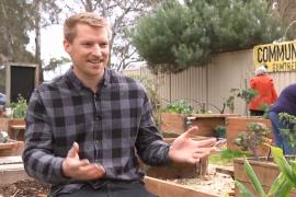 Уроки садоводства для городских жителей Австралии