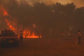 На Лесбосе горят леса: людей эвакуируют