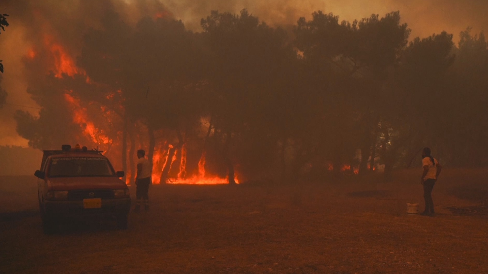На Лесбосе горят леса: людей эвакуируют