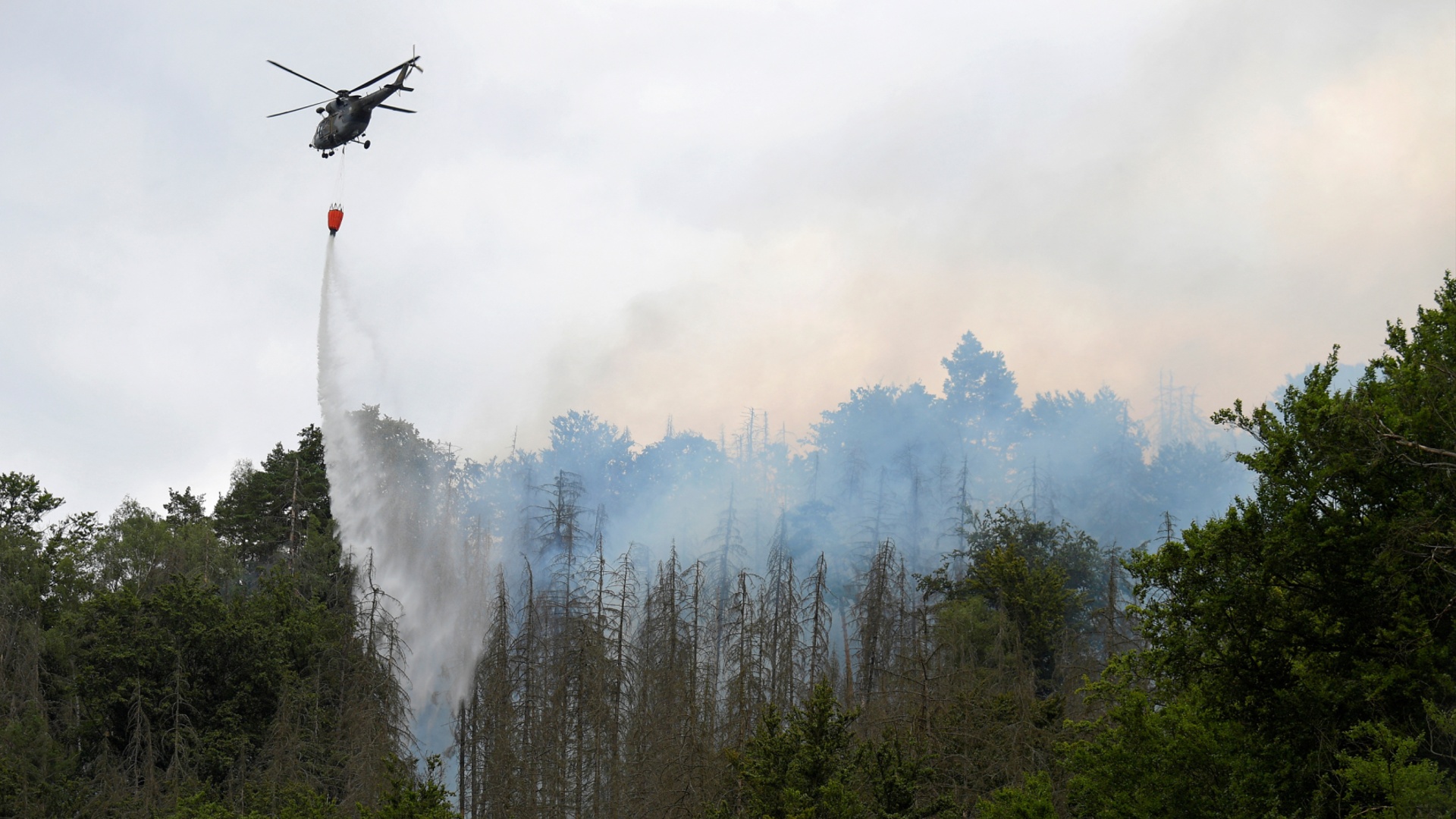 1000 гектаров леса уже сгорело в заповеднике «Чешская Швейцария»
