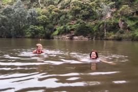 Дикое купание всё популярнее в Австралии