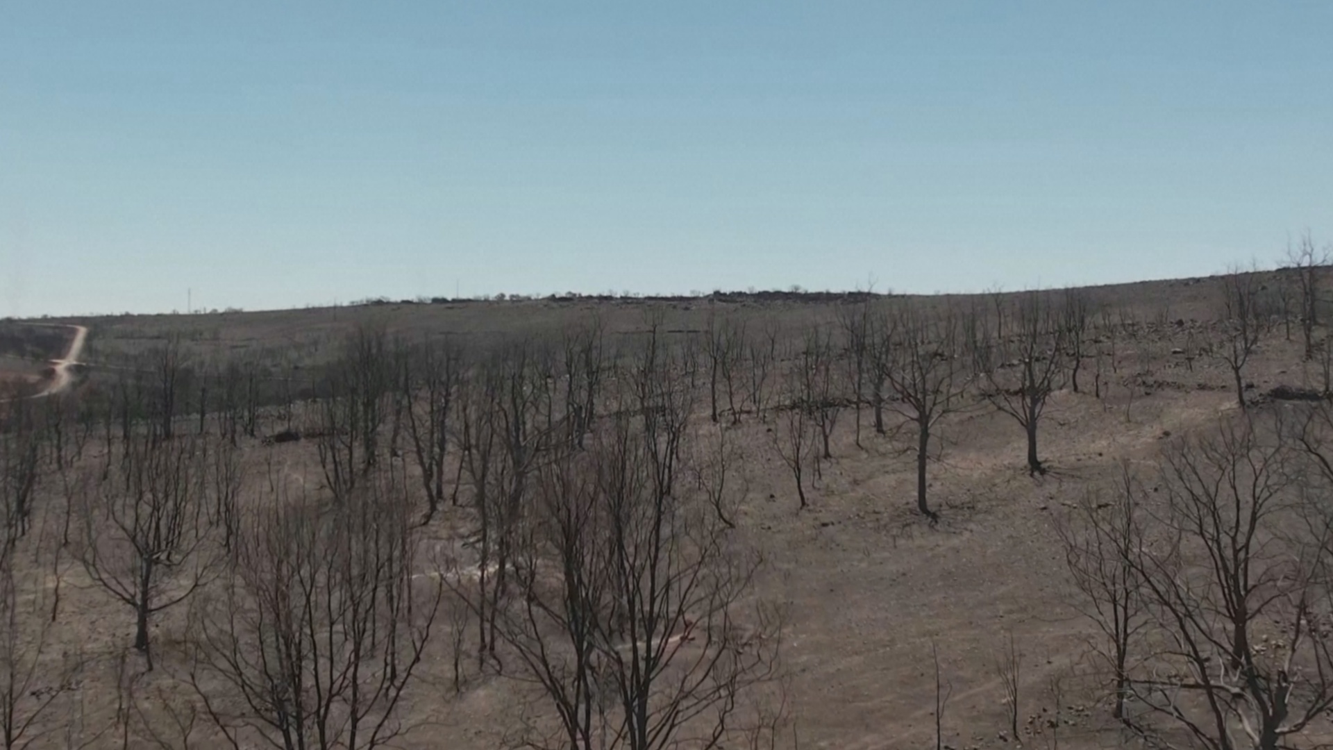 Дрон снял десятки тысяч гектаров выжженной земли в Испании