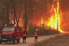 Горят дома и заводы: лесные пожары не утихают в Италии и во Франции