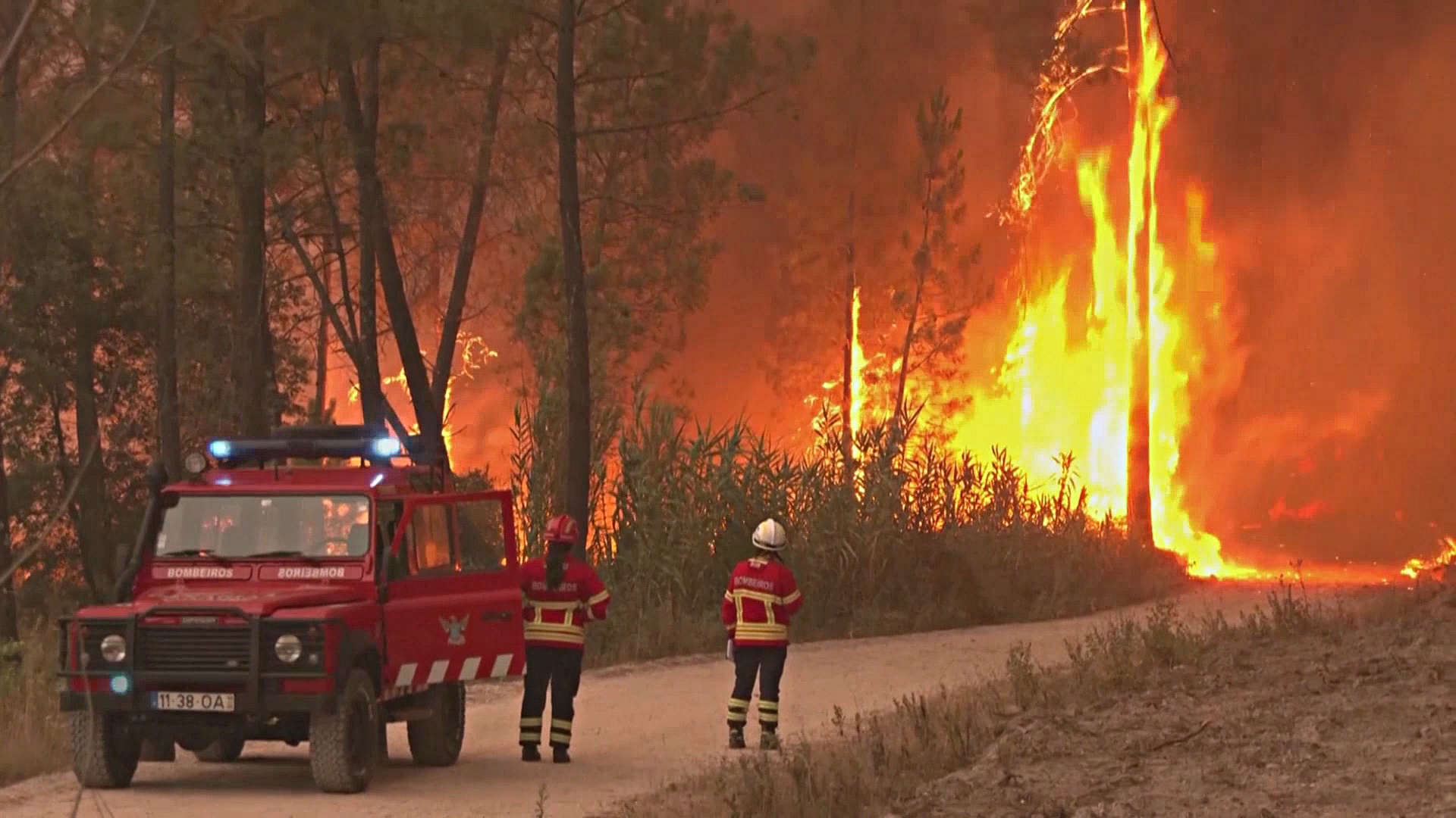 Горят дома и заводы: лесные пожары не утихают в Италии и во Франции