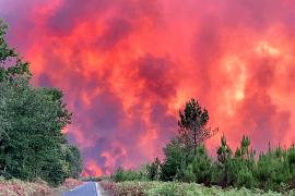 Пожары: во Франции эвакуированы 10 000 человек, в Португалии горит заповедник