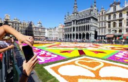 Ковёр из живых цветов появился на главной площади Брюсселя