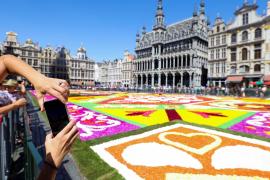 Ковёр из живых цветов появился на главной площади Брюсселя