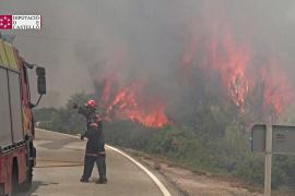 В Испании эвакуировали 1500 человек из-за лесных пожаров