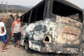 Число жертв лесных пожаров в Алжире возросло до 26