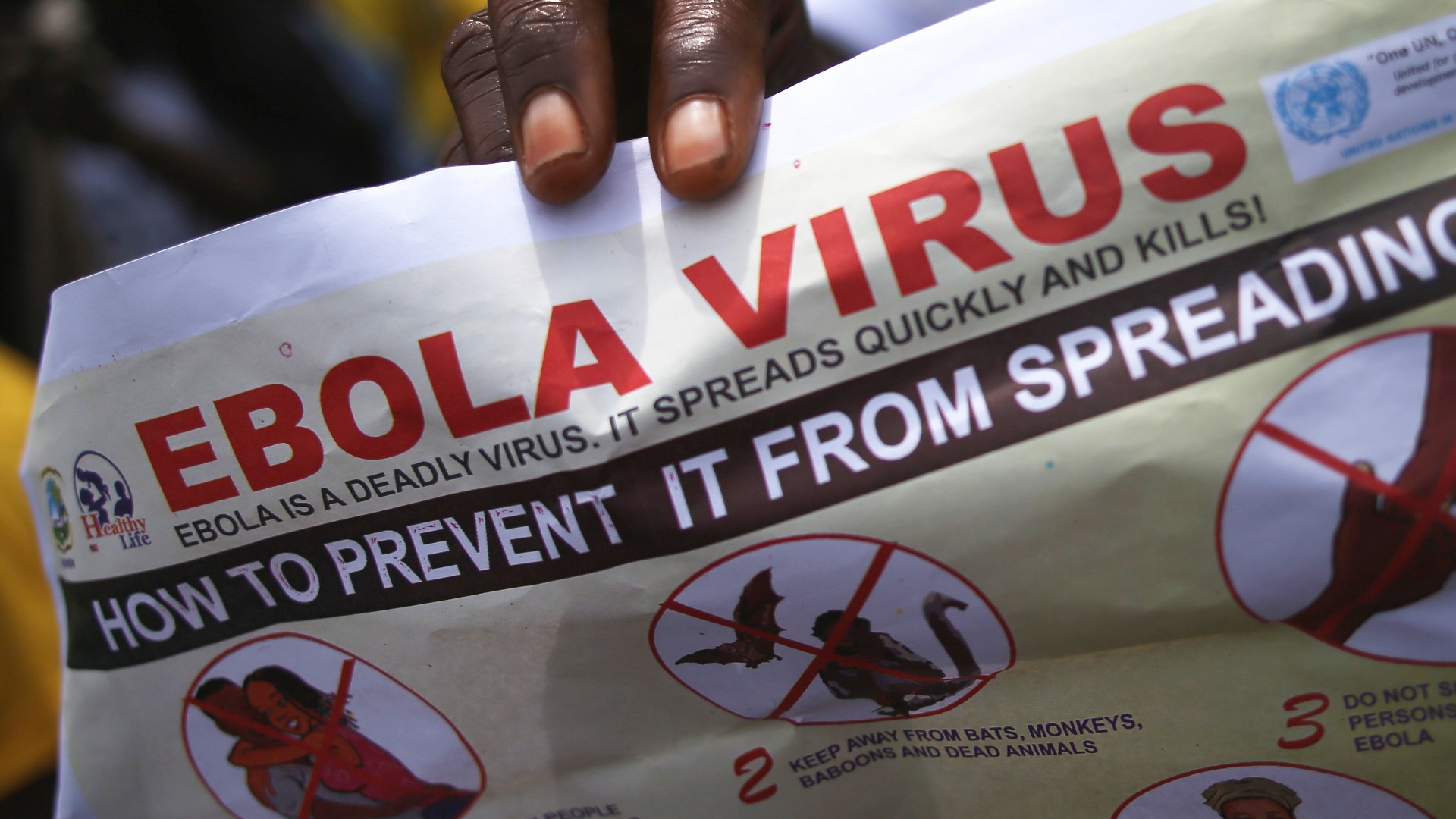 В ДР Конго подтвердили новый случай заболевания лихорадкой Эбола В ДР Конго подтвердили новый случай заболевания лихорадкой Эбола