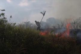Китайским фермерам приходится тушить пожары на иссохших полях