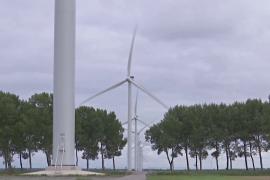 Одна из крупнейших ветряных электростанций заработала в Нидерландах
