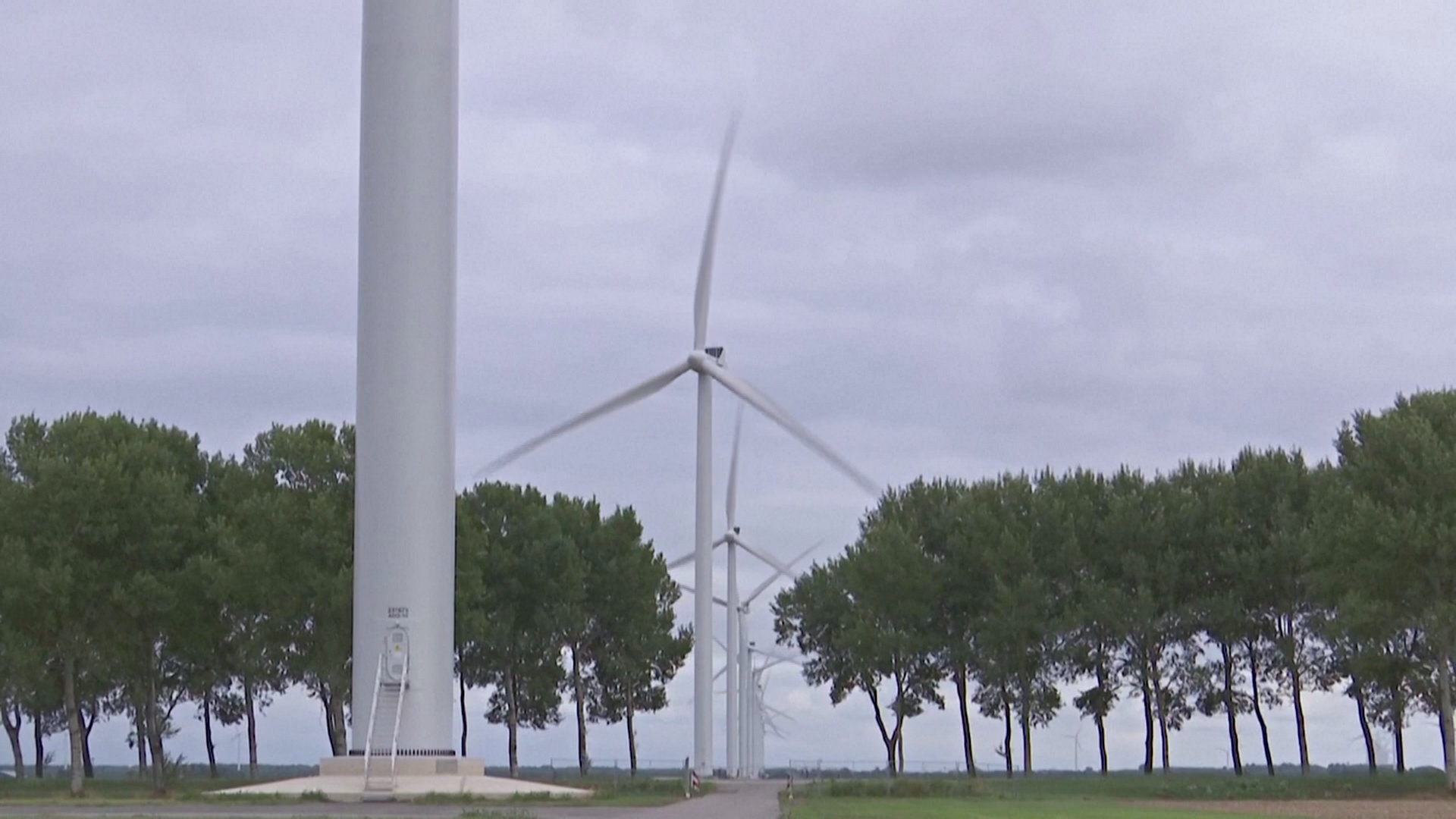 Одна из крупнейших ветряных электростанций заработала в Нидерландах