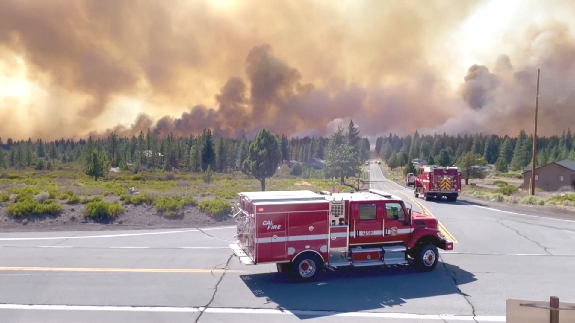 В Калифорнии полыхает сильный лесной пожар