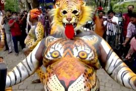 Как танцуют «танец тигра» в честь праздника урожая