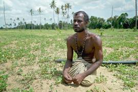 Экономический кризис толкает тамилов Шри-Ланки к ещё большей нищете