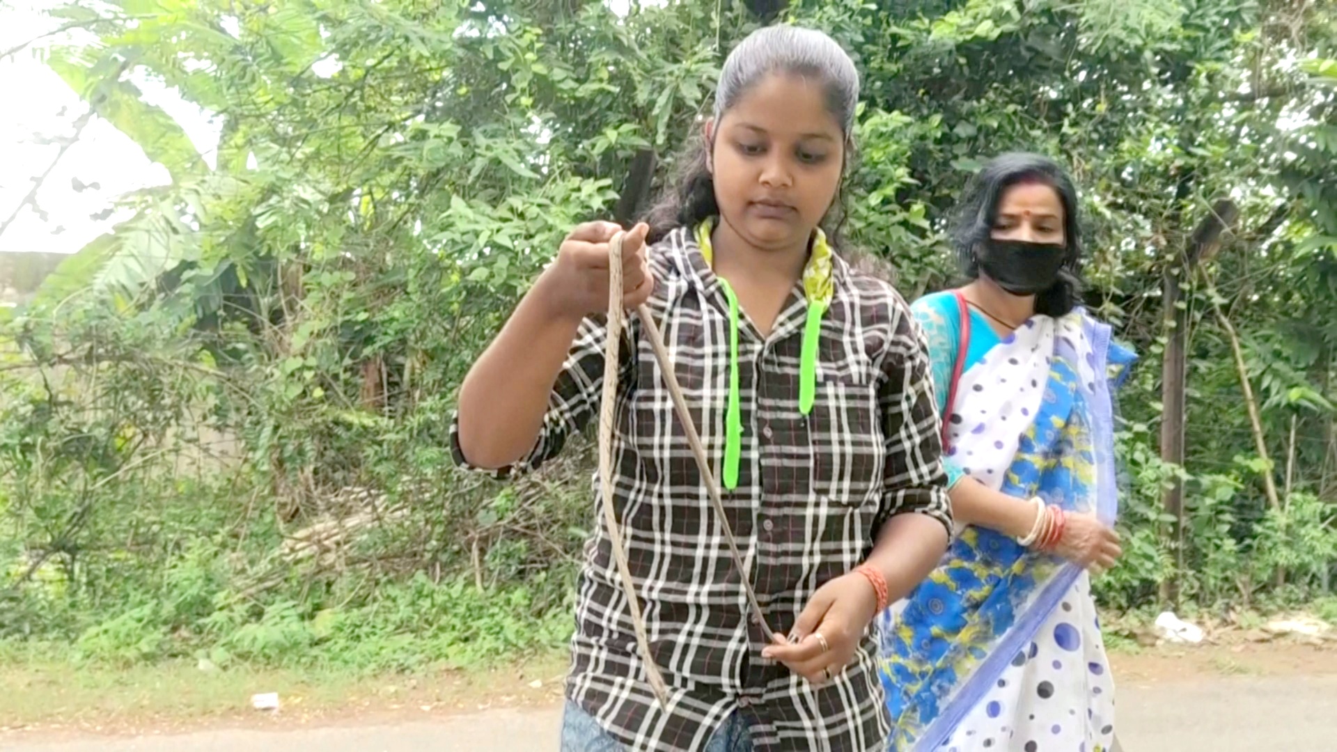 Ядовитая змея забралась под сиденье скутера в Индии